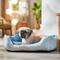 Show in main carousel: HappyCare Textiles Rectangle Orthopedic Bolster Cat & Dog Bed, Blue, Medium slide 1 of 8