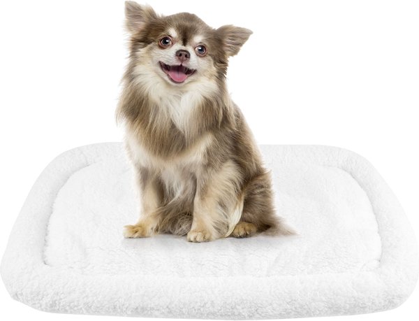 HappyCare Textiles Self Heating Cozy Sherpa Bolster Cat & Dog Bed, White