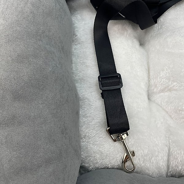 Show full view: HappyCare Textiles Suede Fluffy Booster Safety Bolster Dog & Cat Car Seat slide 9 of 9