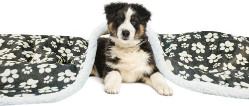 Show full view: HappyCare Textiles Ultra Soft Cozy Flannel Paw Print Sherpa Cat & Dog Blanket, 50x60-in, Grey slide 5 of 6