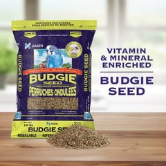 Hari Hagen Seed Blend Budgie Bird Food, 6-lb bag