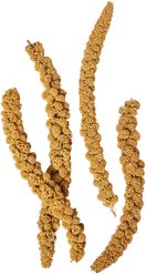 Hari Spray Millet, 17.6-oz bag slide 2 of 9