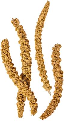 Show full view: Hari Spray Millet, 17.6-oz bag slide 4 of 10