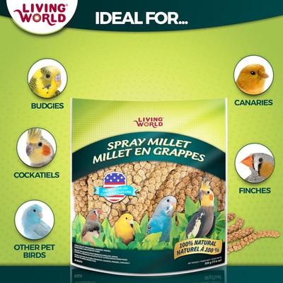 Show full view: Hari Spray Millet, 17.6-oz bag slide 7 of 10