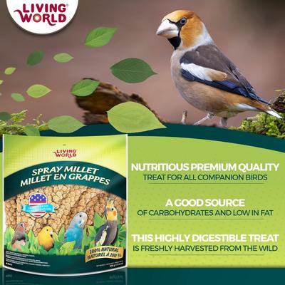 Show full view: Hari Spray Millet, 17.6-oz bag slide 6 of 10