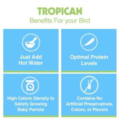 Show full view: Hari Tropican Hand-Feeding Formula Bird Food, 11-lb bag slide 5 of 7