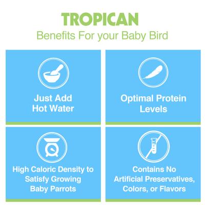 Show full view: Hari Tropican Hand-Feeding Formula Bird Food, 4.4-lb bag slide 5 of 6