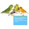 Show in main carousel: Hari Tropimix Egg Food Mix Enrichment Food for Budgies, Canaries & Finches, 8-lb bag slide 5 of 10