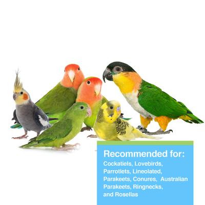 Show full view: Hari Tropimix Enrichment Cockatiel & Lovebird Food, 8-lb bag slide 3 of 9