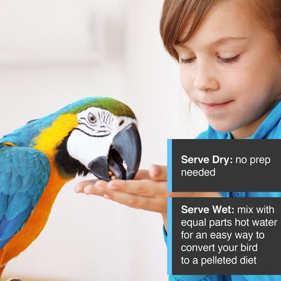 Show full view: Hari Tropimix Enrichment Cockatiel & Lovebird Food, 8-lb bag slide 6 of 9