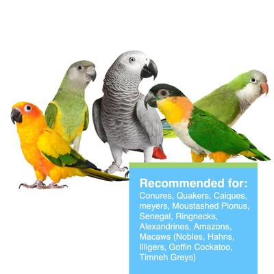 Show full view: Hari Tropimix Enrichment Small Parrot Food, 20-lb bag slide 3 of 9