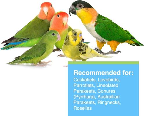 Show full view: Hari Tropimix Peanut Flavored Lovebird & Cockatiel Bird Food, 2-lb bag slide 5 of 9