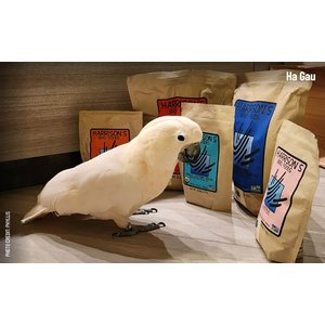 Harrison's Adult Lifetime Coarse Organic Pellet Bird Food, 5-lb bag