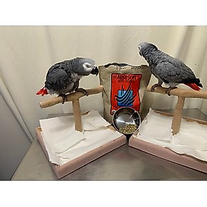 Harrison's High Potency Coarse Organic Pellet Bird Food, 5-lb bag