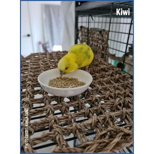 Harrison's Bird Foods High Potency Fine Organic Pellet Bird Food, 25-lb bag