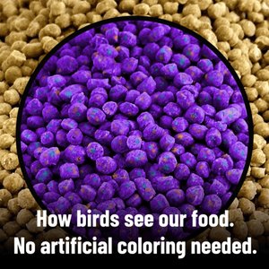 Harrison's Bird Foods High Potency Fine Organic Pellet Bird Food, 25-lb bag