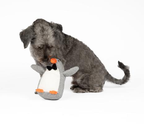 Show full view: Harry Barker Dapper Penguin Plush Dog Toy, Gray slide 3 of 5