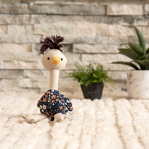 Show full view: Harry Barker Floral Print Ostrich Plush Dog Toy slide 7 of 8