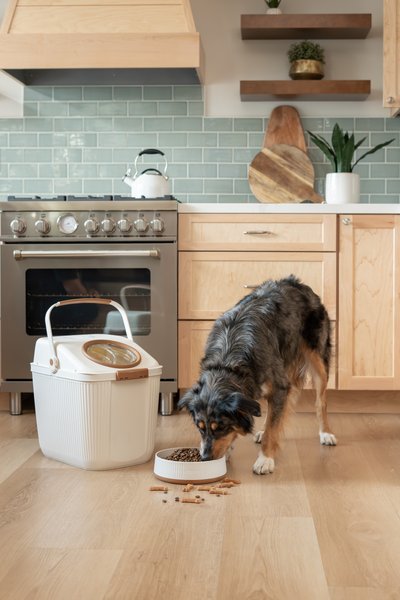 Harry Barker Plastic Dog Food Storage, White & Tan, 80-cups