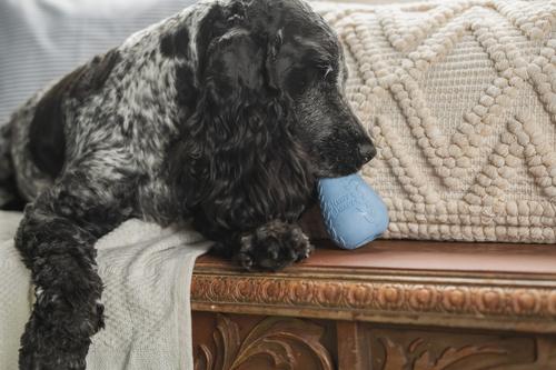 Show full view: Harry Barker Premium Treater Treat Dispensing Dog Chew Toy, Blue, Medium slide 4 of 10