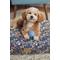 Show in main carousel: Harry Barker Rubber Ball Dog Toy, Blue, Small: 2.5-in, 6 count slide 8 of 11