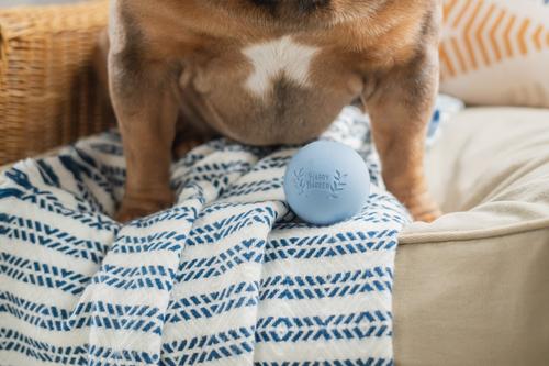 Show full view: Harry Barker Rubber Ball Dog Toy, Blue, Small: 2.5-in, 6 count slide 2 of 11