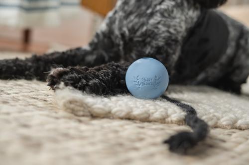 Show full view: Harry Barker Rubber Ball Dog Toy, Blue, Small: 2.5-in, 6 count slide 4 of 11