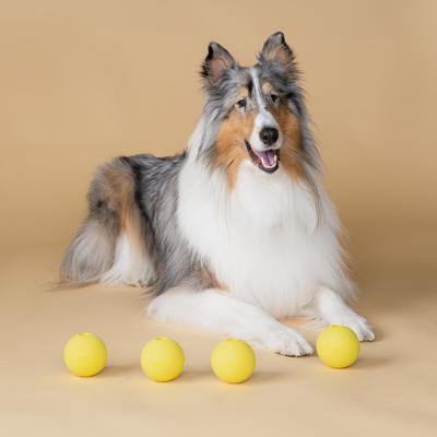 Show full view: Harry Barker Rubber Ball Dog Toy, Yellow, Medium: 3-in, 4 count slide 8 of 10