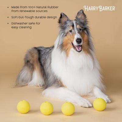 Show full view: Harry Barker Rubber Ball Dog Toy, Yellow, Medium: 3-in, 4 count slide 6 of 10