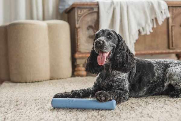 Harry Barker Rubber Stick Dog Chew Toy