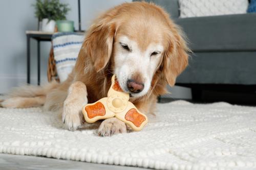 Show full view: Hartz Chew 'n Clean Chew Chicken Flavored Tri-Point Dog Treat & Chew Toy, Medium slide 6 of 10