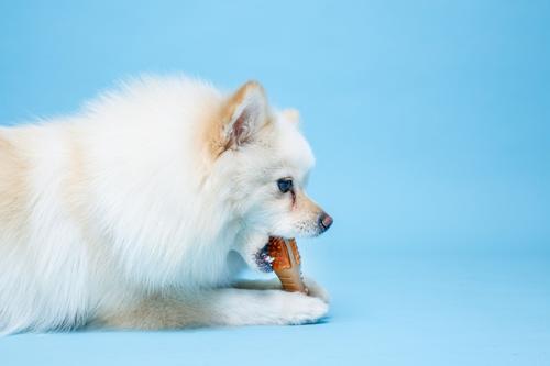 Show full view: Hartz Chew 'n Clean Chicken Flavored Drumstick Dog Treat & Chew Toy, Small slide 4 of 10