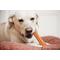 Show in main carousel: Hartz Chew 'n Clean Dental Duo Dog Treat & Chew Toy, Large, 2 count slide 3 of 10