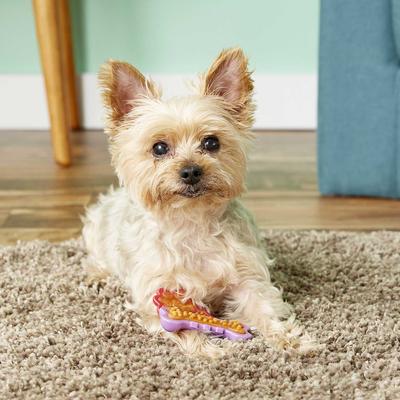 Show full view: Hartz Chew 'n Clean Dental Duo Dog Treat & Chew Toy, X-Small, 2-pack + Hartz Tiny Dog Dental Duo Rawhide-Free Dental Dog Treat, Color Varies slide 5 of 8