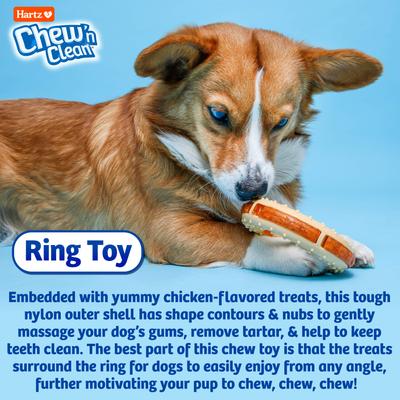 Show full view: Hartz Chew 'n Clean Ring Dog Toy, Medium slide 5 of 12