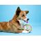 Show in main carousel: Hartz Chew 'n Clean Ring Dog Toy, Medium slide 6 of 12
