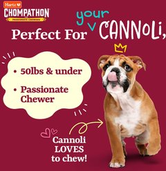 Hartz Chompathon Diamondbite Bone Tough Dog Chew Toy, Brown, Medium slide 2 of 9