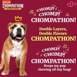 Hartz Chompathon Gripper Bone Tough Dog Chew Toy, Brown, Medium slide 2 of 9