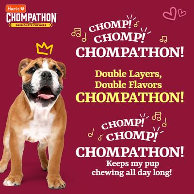 Show full view: Hartz Chompathon Gripper Bone Tough Dog Chew Toy, Brown, Medium slide 9 of 10