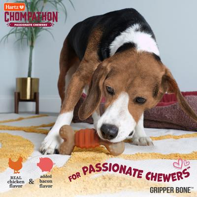 Show full view: Hartz Chompathon Gripper Bone Tough Dog Chew Toy, Brown, Medium slide 8 of 10