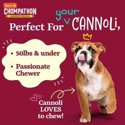 Show full view: Hartz Chompathon Gripper Bone Tough Dog Chew Toy, Brown, Medium slide 5 of 10