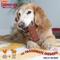 Show in main carousel: Hartz Chompathon Rock 'N Rib Bone Tough Dog Chew Toy, Brown, Medium slide 8 of 10