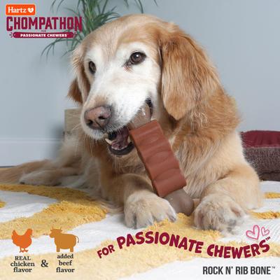 Show full view: Hartz Chompathon Rock 'N Rib Bone Tough Dog Chew Toy, Brown, Medium slide 8 of 10