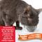 Show in main carousel: Hartz Delectables Bisque Senior 15+ Tuna & Chicken Lickable Cat Treats, 1.4-oz, bundle of 72  slide 6 of 12