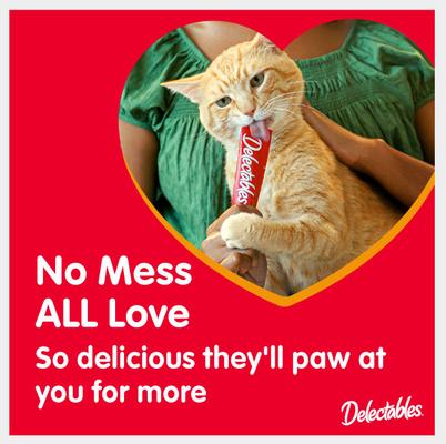 Show full view: Hartz Delectables Squeeze Up Variety Pack Lickable Treats + Frisco Refillable Catnip Cat Toy, Brown Squirrel slide 5 of 9