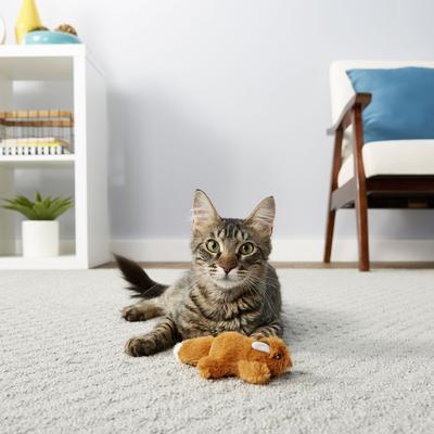 Show full view: Hartz Delectables Squeeze Up Variety Pack Lickable Treats + Frisco Refillable Catnip Cat Toy, Brown Squirrel slide 8 of 9