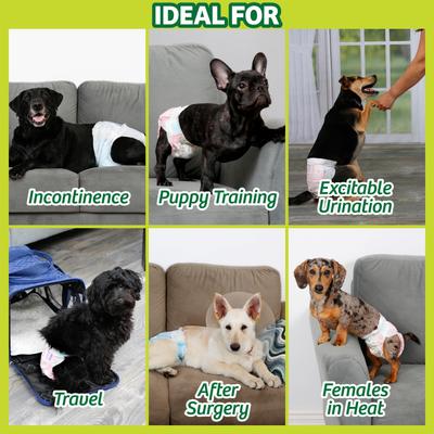 Show full view: Hartz Disposable Male & Female Diapers, Medium, 32 count + Oinkies Tender Treats Real Chicken Dog Treats slide 5 of 9