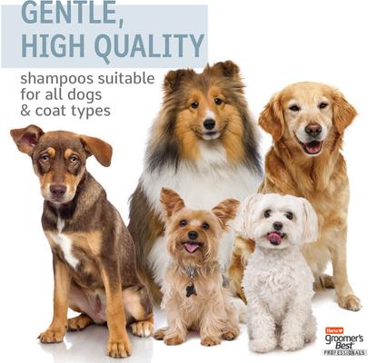 Show full view: Hartz Groomer's Best Professionals 6-in-1 Dog Shampoo, Lavender & Mint Scent, 18-fl oz bottle slide 10 of 10