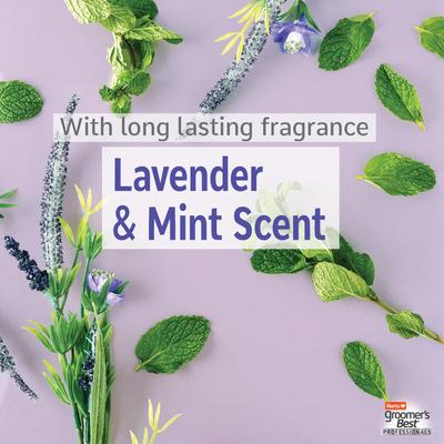 Show full view: Hartz Groomer's Best Professionals 6-in-1 Dog Shampoo, Lavender & Mint Scent, 18-fl oz bottle slide 6 of 10
