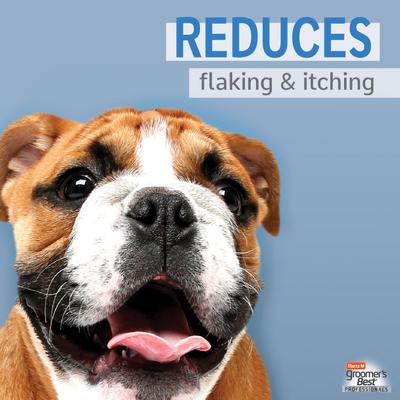 Show full view: Hartz Groomer's Best Professionals Anti-Dandruff with Jasmine & Citrus Scent Dog Shampoo, 18-fl oz bottle slide 3 of 10